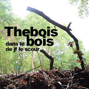 ... dans le bois